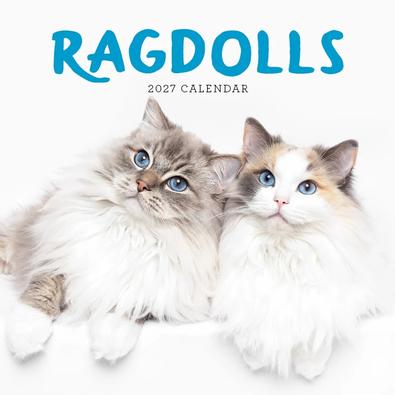 2027 Ragdolls Calendar cover