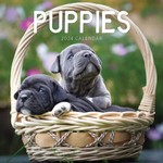 2024 Puppies Calendar thumbnail