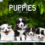 2026 Puppies Calendar thumbnail