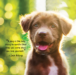 2024 Puppies Calendar alternate 1