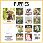 2024 Puppies Calendar alternate 3