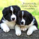 2027 Puppies Calendar alternate 1