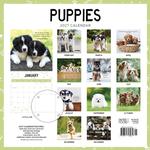 2027 Puppies Calendar alternate 3