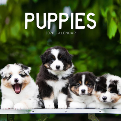 2026 Puppies Calendar cover