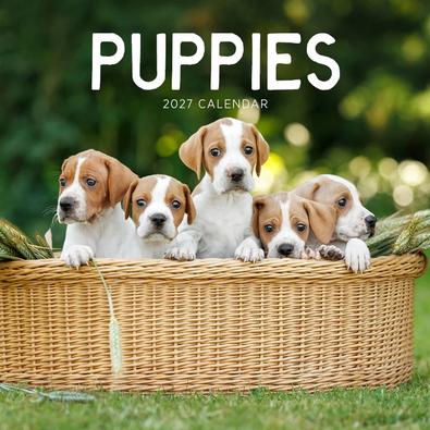 2027 Puppies Calendar cover