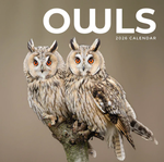 2026 Owls Calendar thumbnail