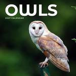 2027 Owls Calendar