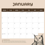 2026 Owls Calendar alternate 2