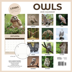 2026 Owls Calendar alternate 3