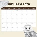 Owls 2020 Calendar alternate 1