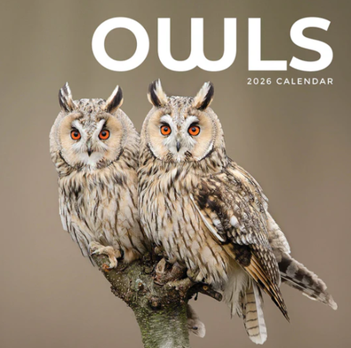 2026 Owls Calendar cover
