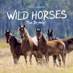 2023 Our Australia Wild Horses Calendar thumbnail