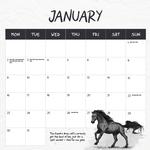 2023 Our Australia Wild Horses Calendar alternate 2
