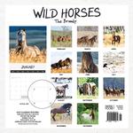 2023 Our Australia Wild Horses Calendar alternate 3