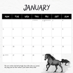 2026 Our Australia Wild Horses Calendar alternate 2
