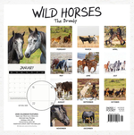 2026 Our Australia Wild Horses Calendar alternate 3