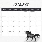 2027 Wild Horses The Brumby Calendar alternate 2