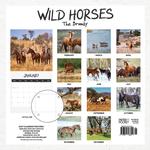 2027 Wild Horses The Brumby Calendar alternate 3