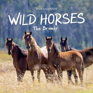 2023 Our Australia Wild Horses Calendar cover