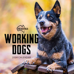 2024 Our Australia Working Dogs Calendar thumbnail