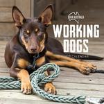 2027 Our Australia Working Dogs Calendar
