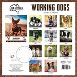 2026 Our Australia Working Dogs Calendar alternate 3