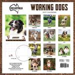 2027 Our Australia Working Dogs Calendar alternate 3