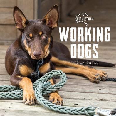 2027 Our Australia Working Dogs Calendar cover