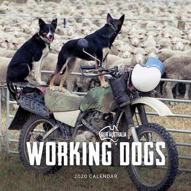 Our Australia Working Dogs 2020 Calendar cover