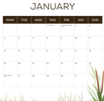 2026 Our Australia Rivers Calendar alternate 2