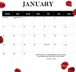 2024 Our Australia Roses Calendar alternate 2