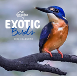 2024 Our Australia Exotic Birds Calendar thumbnail