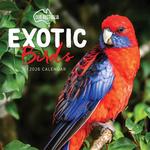 2026 Our Australia Exotic Birds Calendar thumbnail