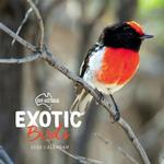 Our Australia Exotic Birds 2020 Calendar