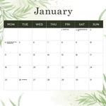 2027 Our Australia Flowers Calendar alternate 2