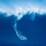 2026 The Big Surf Calendar alternate 1