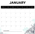 2026 Our Australia Reefs Calendar alternate 2