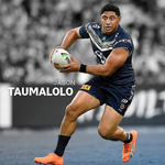 2024 NRL North Queensland Cowboys Calendar alternate 1