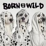 Born to be wild Calendar 2020