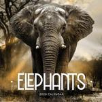 Elephants 2020 Calendar