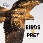 Our Australia Birds of Prey
