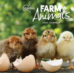 2024 Our Australia Farm Animals Calendar thumbnail
