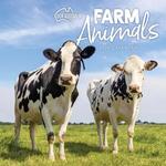 2026 Our Australia Farm Animals Calendar thumbnail