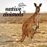 Our Australia Native Animals 2020 calendar