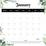 2026 Our Australia Native Animals Calendar alternate 2