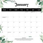 2027 Our Australia Native Animals Calendar alternate 2