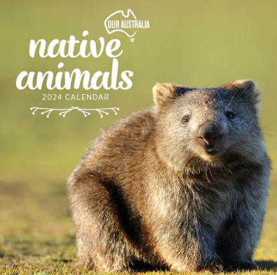 2024 Our Australia Native Animals Calendar cover