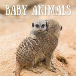 2027 Baby Animals Calendar