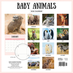 2026 Baby Animals Calendar alternate 3