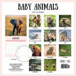 2027 Baby Animals Calendar alternate 3